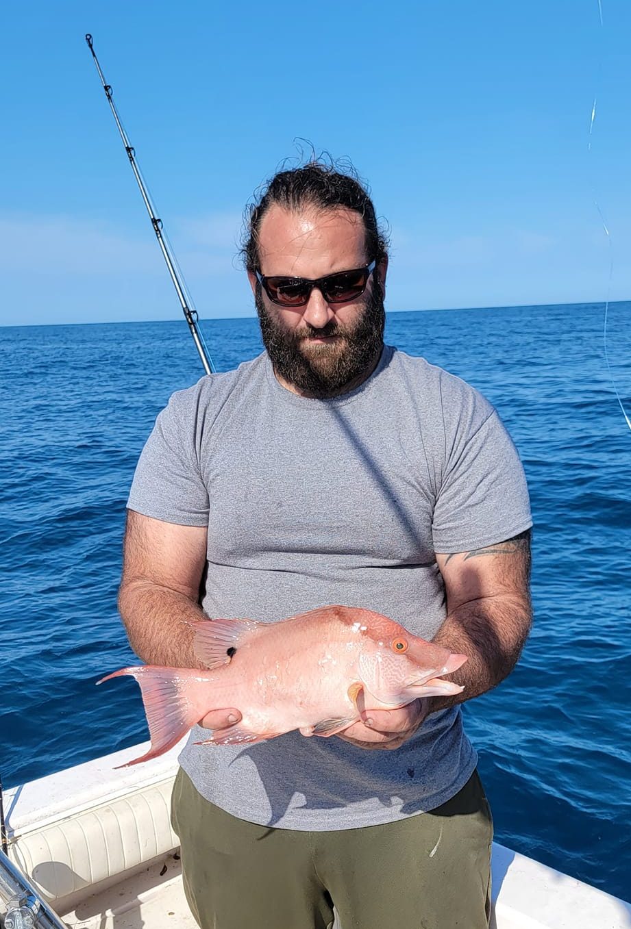 cropped-Hogfish.jpg